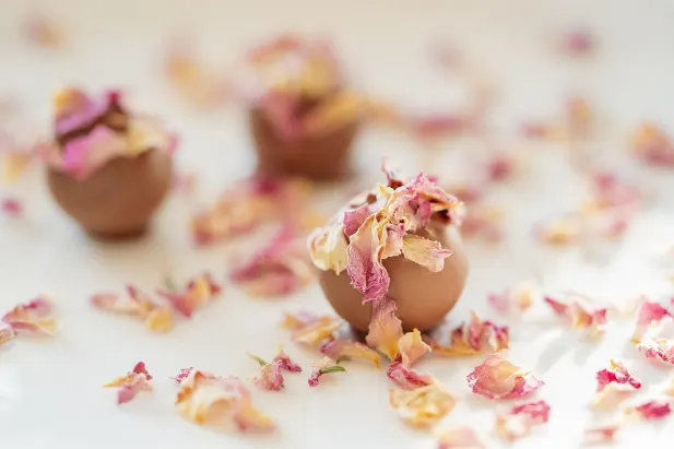 Casino Fantastic Spins Android/iOS rakendus